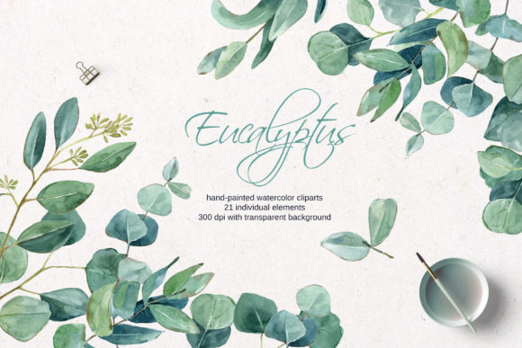 Download Watercolor Eucalyptus Clipart - Premium Resources