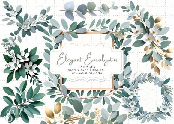 Download Elegant Eucalyptus Clipart - Premium Resources